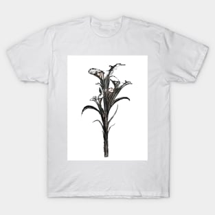 Black Orchid T-Shirt